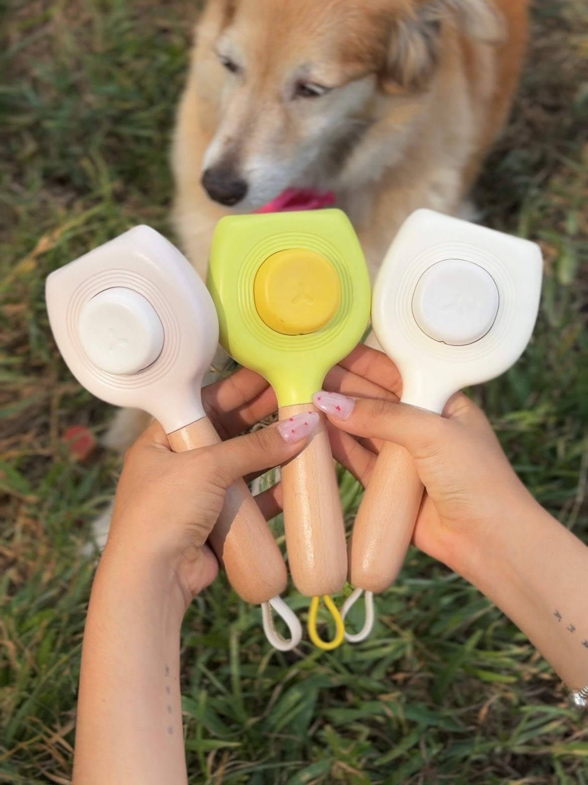 Cepillo Removedor de Pelo para Perros y Gatos